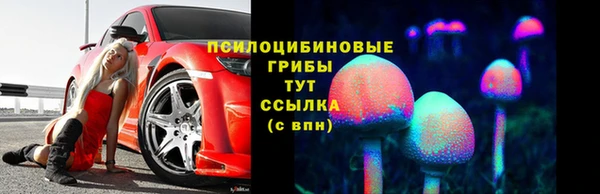 a pvp Белокуриха